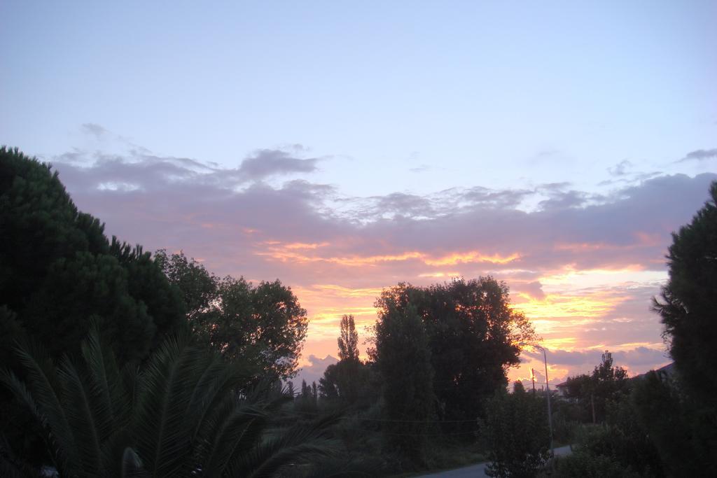 Villa Angela Sykia Chalkidikis Pokoj fotografie
