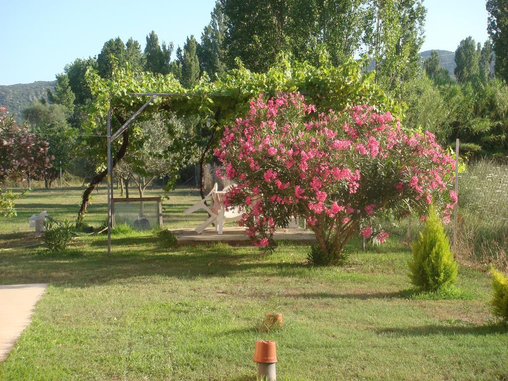 Villa Angela Sykia Chalkidikis Exteriér fotografie