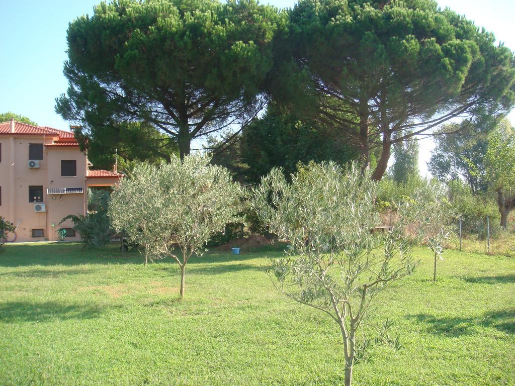 Villa Angela Sykia Chalkidikis Exteriér fotografie